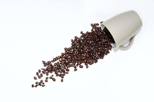 cuales son las mejores marcas de termos para café